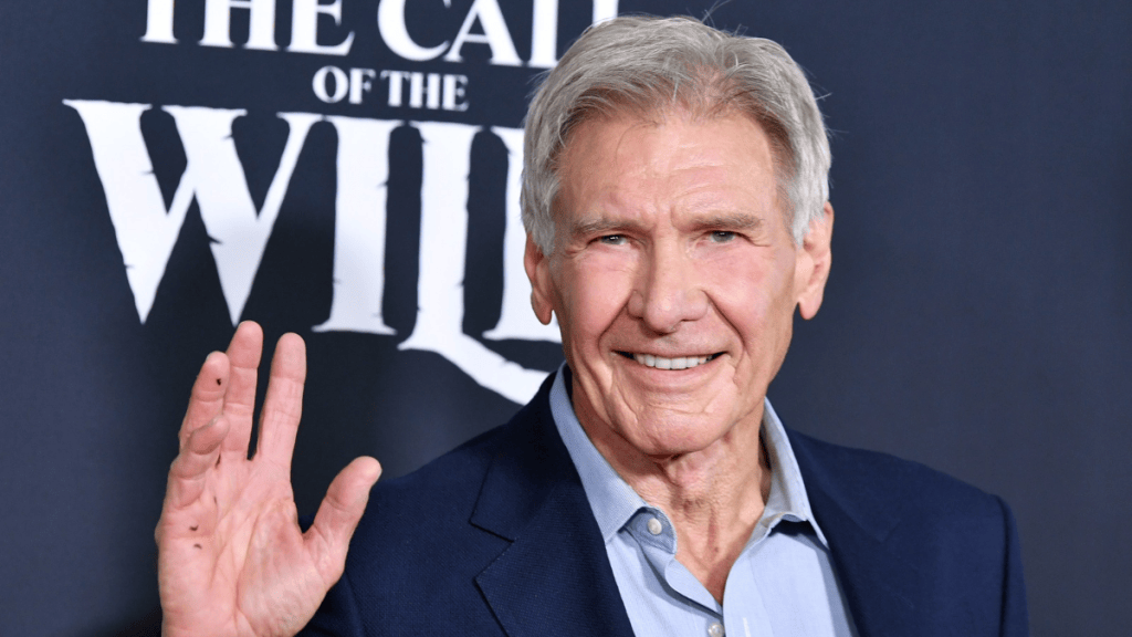 Harrison Ford's Costar Admits She Doesn't 'Need Friendship' From Him