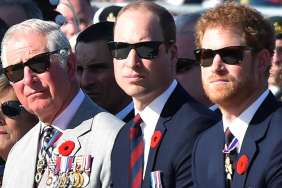 Prince Harry's UK Birthday Celebrations Exclude King Charles & Prince William — Author