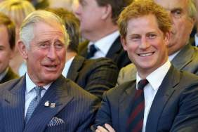 Prince Harry’s ‘Half-In, Half-Out’ Royal Plan Returns With a Twist — Source