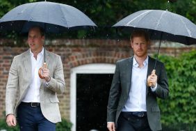 Prince Harry Enjoys Getting Under Prince William's Skin Amid Feud — Source
