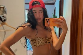 Dua Lipa’s See-Through Dress Leaves Her Bra Completely on Display