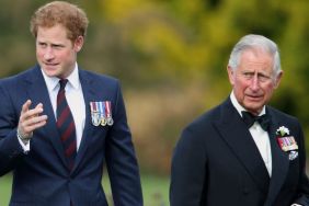 King Charles & Prince Harry's 'Squalid Little Argument' Sparks Public Anger — Report