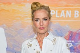Gillian Anderson Embraces Pansexual Identity After Hidden Romance