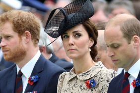 Prince Harry & Prince William’s Rift Isn’t Kate Middleton’s Current Priority — Report