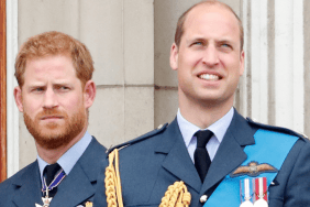 Prince William & Prince Harry Had Bizarre 'Nicknames' Among Royal Staff — Report