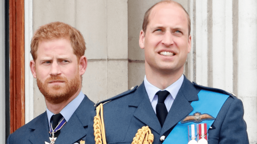 Prince William & Prince Harry Had Bizarre 'Nicknames' Among Royal Staff — Report