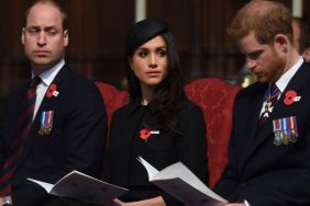 Meghan Markle ‘Furious’ Over Prince William Deciding Her Royal Future — Source