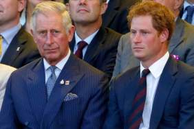 Prince Harry Gets ‘No Mercy’ Warning From King Charles Over Diana Documentary — Source
