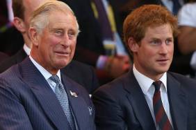 Prince Harry's 'Error' During King Charles Meeting Cost Him Dearly — Expert