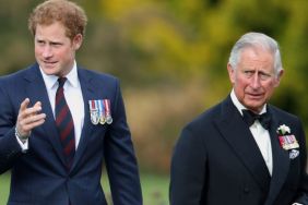 Prince Harry Plotting ‘Revenge Statement’ To Hit Back at King Charles — Source