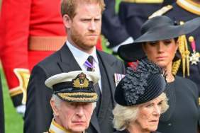Queen Camilla's Role in King Charles & Prince Harry Feud Hides a Secret Motive — Source