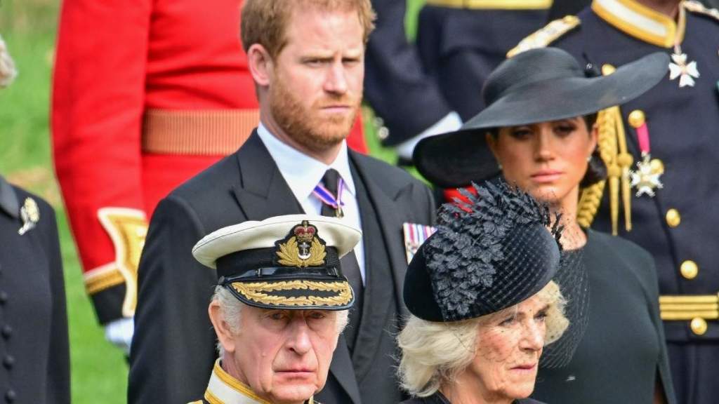 Queen Camilla's Role in King Charles & Prince Harry Feud Hides a Secret Motive — Source