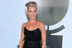 Pink Criticized After Demanding Ed Sheeran Refund Fans Over Macklemore