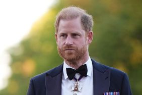 Prince Harry Eyes Princess Diana Documentary Ahead of 30-Year Milestone