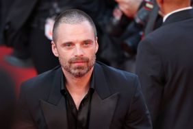 Sebastian Stan Has a Shocking Take on the Roles He Wants