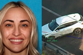 Child Flees Car Female Drunk Driver Crash DUI Hit Run Fresno California