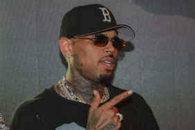 Chris Brown’s dog attack case takes another turn after a judge challenges the $12.9 million damages award.