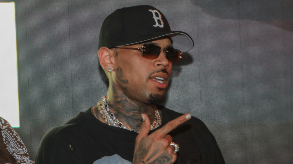Chris Brown’s dog attack case takes another turn after a judge challenges the $12.9 million damages award.