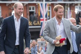 Prince William Won’t Be ‘Pitted Against’ Prince Harry Over Diana Films — Report