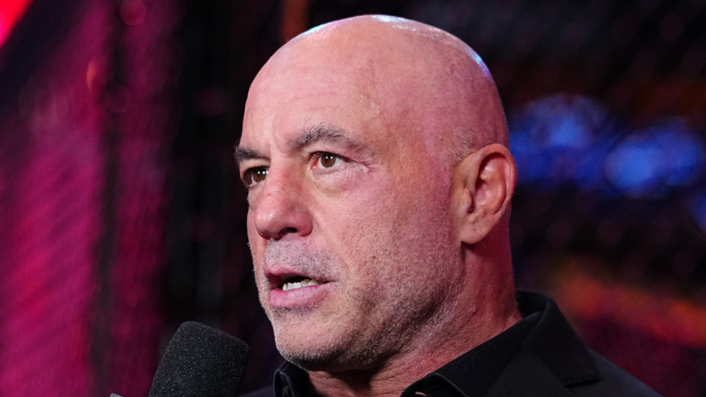 Joe Rogan criticizes supporters of Lindsay Clancy amid her ongoing murder trial