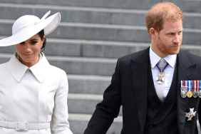 Prince Harry and Meghan Markle’s U.K. return raises fresh questions within the royal family