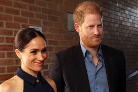 Prince Harry & Meghan Markle Could Still Be Assets as Working Royals— Expert