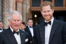Prince Harry’s UK Return Matters So Much To King Charles for a Major Reason — Report