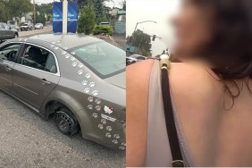 Woman Loses Rear Tire DUI Asks Cop How Identify Car Missing Tire Pawprint Stickers Police Washington