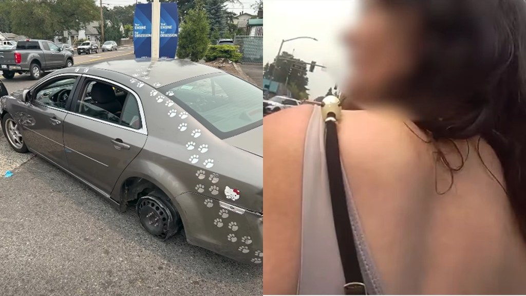 Woman Loses Rear Tire DUI Asks Cop How Identify Car Missing Tire Pawprint Stickers Police Washington