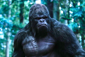 The People v. Gorilla Grodd Rumor Teases a Justice League Hero Is Coming to the DCU