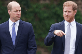Prince William Dodges 'Forced Reunion' With Prince Harry Amid Feud — Report