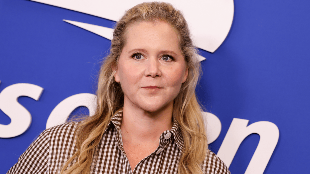 Amy Schumer's Latest Life Makeover Comes With a Divorce Decree