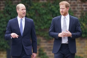 prince harry william