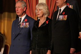 ex-prince andrew