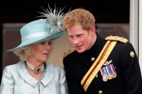 Prince Harry May Have to ‘Beg’ Queen Camilla To See King Charles — Source