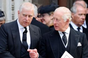 King Charles Backs Ex-Prince Andrew’s Legal Fight, but There’s a Catch — Source