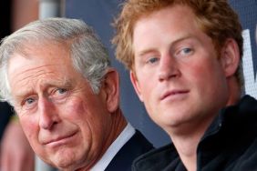 Prince Harry & King Charles Are Talking More, but Still Haven't Met — Expert