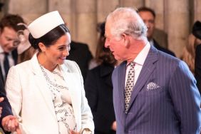 King Charles Steals Meghan Markle’s Thunder With Latest Launch — Source