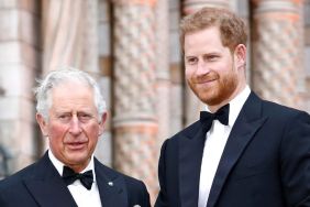 King Charles ‘Pretty Gutted’ as Prince Harry Breaks Promise Involving Kids — Source