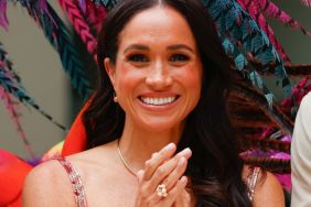 Meghan Markle's Public Image Could Change as Questions About Father Grow — Expert