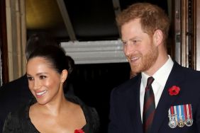Prince Harry & Meghan Markle Have Fresh Ammunition for Security Fight — Expert