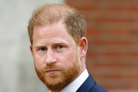 ‘Entitled’ Prince Harry Wants to ‘Trash Royal Family’ & Also Wants Peace — Report