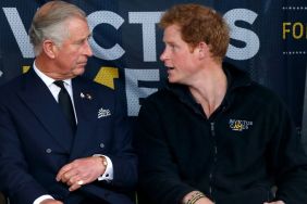 Prince Harry 'Bullied' King Charles For a Reason As Royal Rift Turns 'Horrid' — Insider