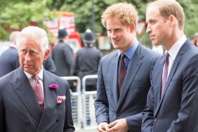 Prince William Set to Meet King Charles Amid Prince Harry Drama