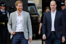 Royal Who Tried To Bring Prince Harry & William Together Over Drinks Revealed — Report