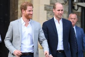 Prince William Brands Prince Harry a 'Loose Cannon' Amid Feud — Source