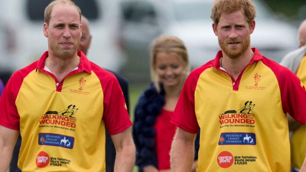 Prince Harry Risks 'Going Against' Prince William With Major Move — Expert
