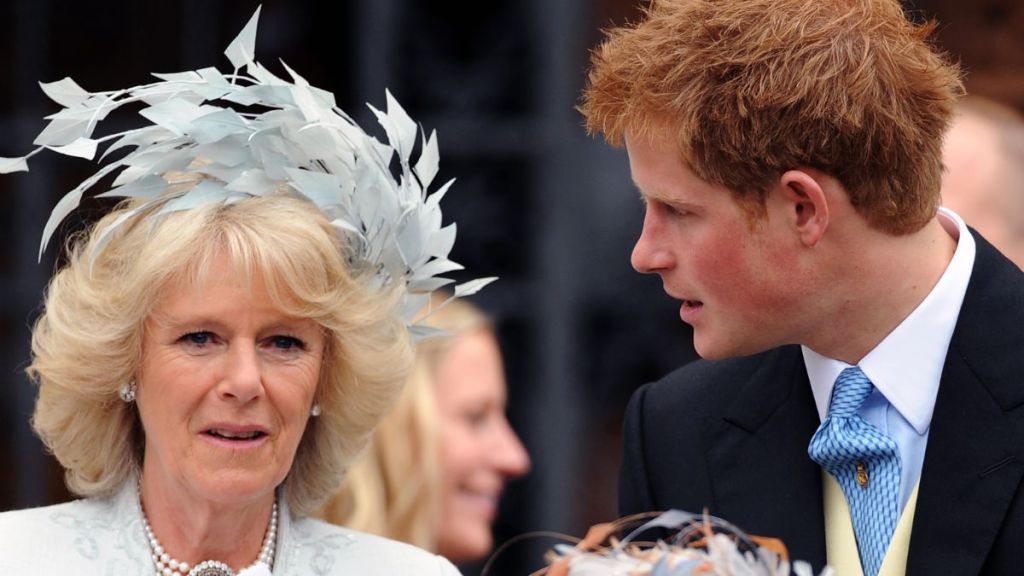 Prince Harry Blames Queen Camilla for Fractured King Charles Relationship — Source