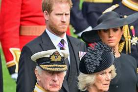 Prince Harry’s ‘Self-Serving’ Queen Camilla Apology Raises Red Flags — Source