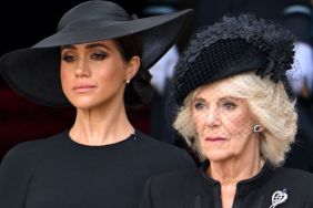 Queen Camilla Could Steal Meghan Markle's TV Spotlight — Report